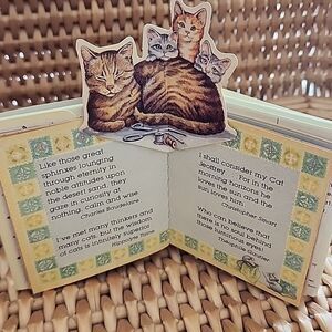 Two Mini Cat Books